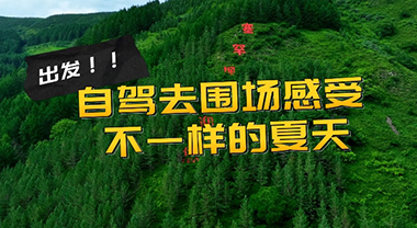 出发！自驾去围场 过不一样的夏天